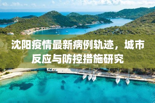 沈陽疫情最新病例軌跡，城市反應(yīng)與防控措施研究