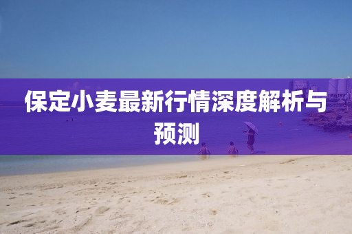 保定小麥最新行情深度解析與預(yù)測(cè)