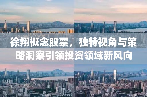 徐翔概念股票，獨特視角與策略洞察引領(lǐng)投資領(lǐng)域新風(fēng)向