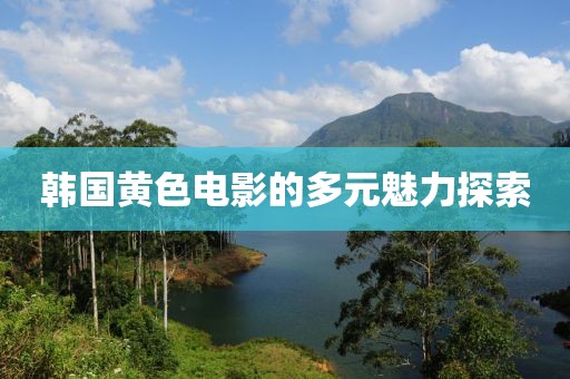 韓國(guó)黃色電影的多元魅力探索