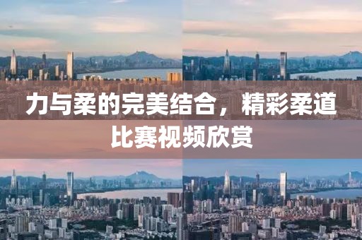 力與柔的完美結(jié)合，精彩柔道比賽視頻欣賞
