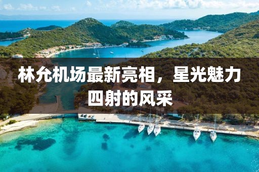 林允機(jī)場(chǎng)最新亮相，星光魅力四射的風(fēng)采