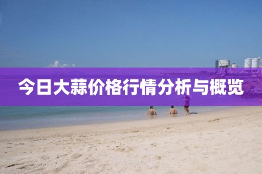 今日大蒜價(jià)格行情分析與概覽