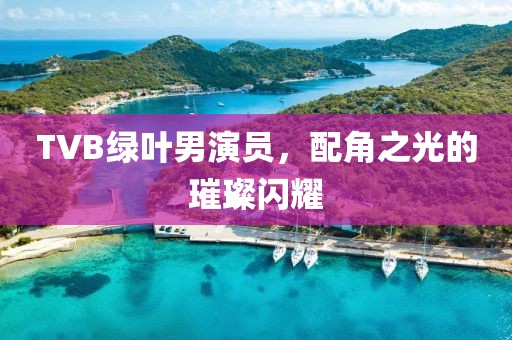 TVB綠葉男演員，配角之光的璀璨閃耀