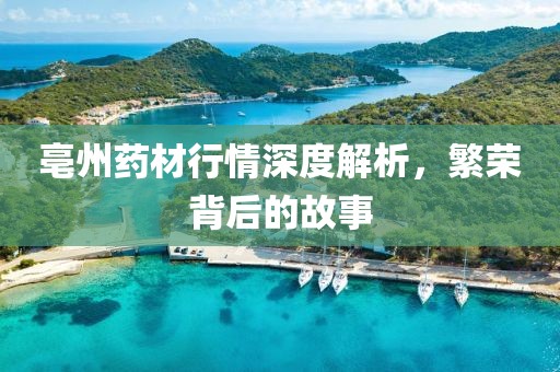 亳州藥材行情深度解析，繁榮背后的故事