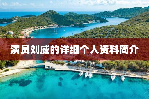 演員劉威的詳細個人資料簡介
