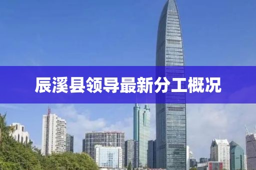 辰溪縣領(lǐng)導(dǎo)最新分工概況