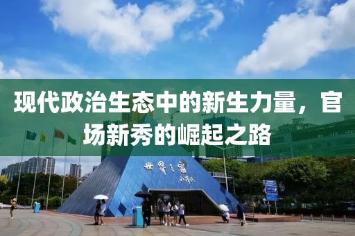 現代政治生態(tài)中的新生力量，官場新秀的崛起之路