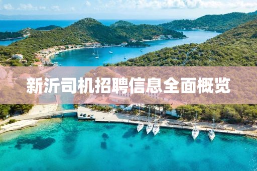 新沂司機(jī)招聘信息全面概覽