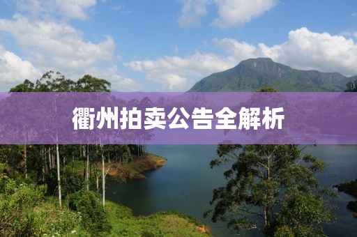 衢州拍賣公告全解析