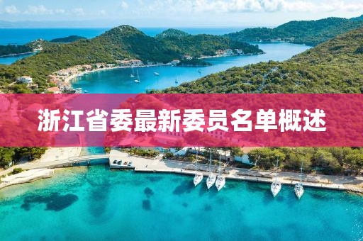 浙江省委最新委員名單概述