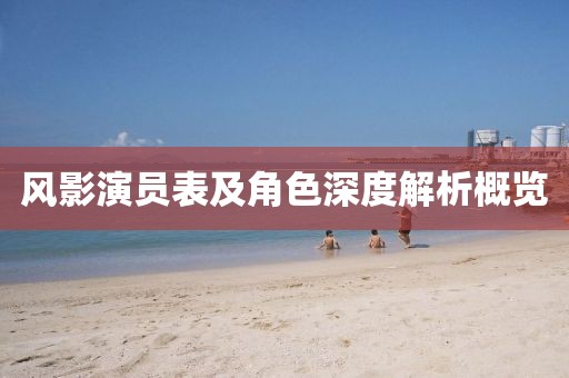 風(fēng)影演員表及角色深度解析概覽