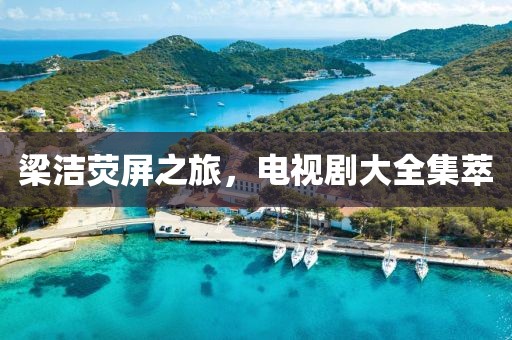 梁潔熒屏之旅，電視劇大全集萃