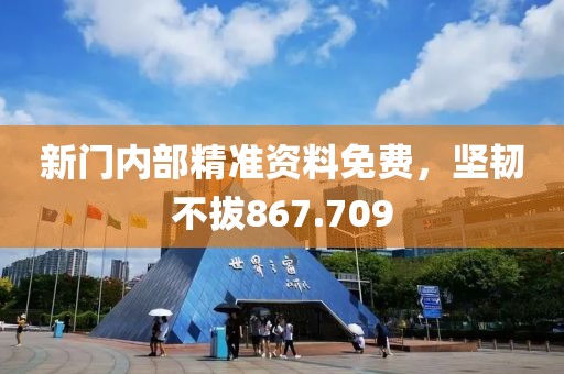 新門內(nèi)部精準(zhǔn)資料免費，堅韌不拔867.709