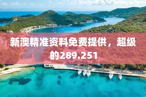 新澳精準(zhǔn)資料免費(fèi)提供，超級(jí)的289.251