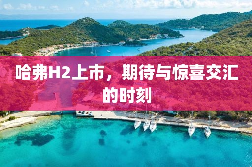 哈弗H2上市，期待與驚喜交匯的時(shí)刻