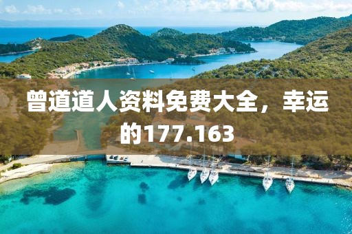 曾道道人資料免費(fèi)大全，幸運(yùn)的177.163