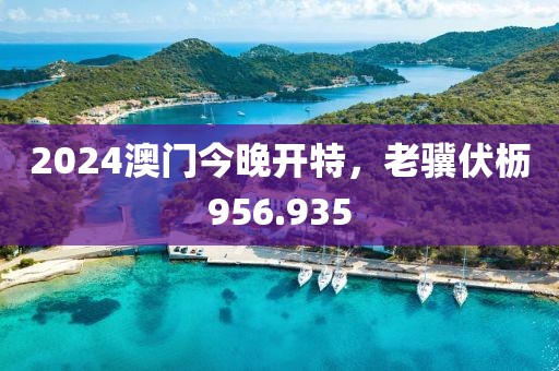 2024澳門今晚開特，老驥伏櫪956.935