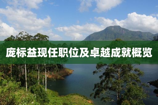 龐標(biāo)益現(xiàn)任職位及卓越成就概覽