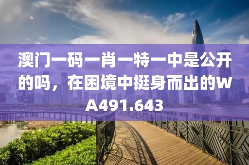 澳門一碼一肖一特一中是公開的嗎，在困境中挺身而出的WA491.643