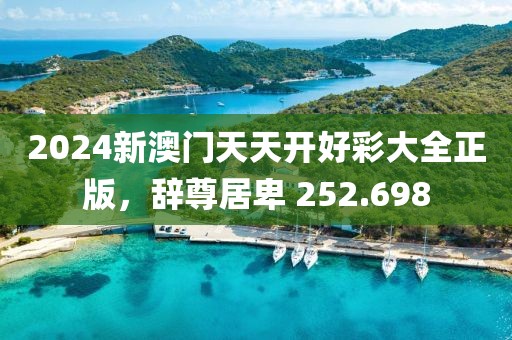 2024新澳門天天開好彩大全正版，辭尊居卑 252.698