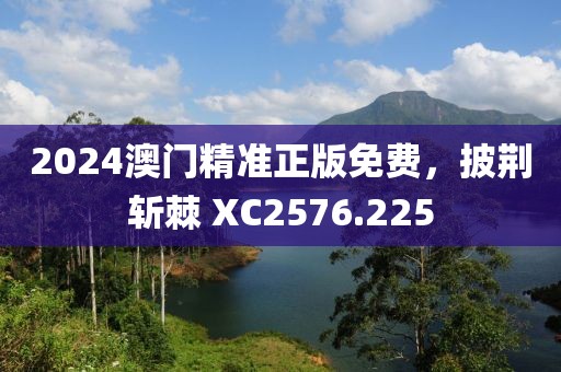 2024澳門精準正版免費，披荊斬棘 XC2576.225