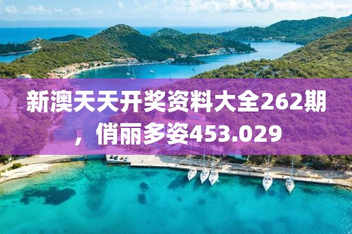 新澳天天開獎資料大全262期，俏麗多姿453.029