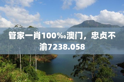 管家一肖100‰澳門，忠貞不渝7238.058