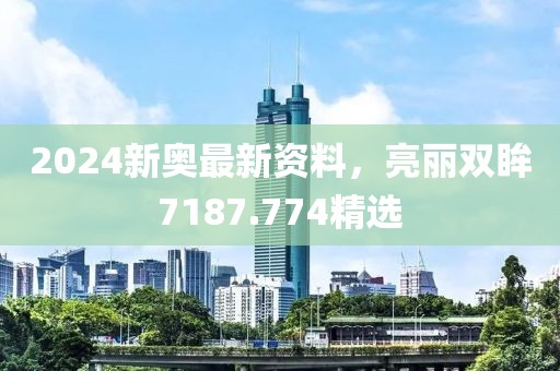 2024新奧最新資料，亮麗雙眸7187.774精選