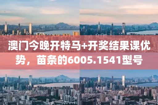澳門今晚開特馬+開獎結果課優(yōu)勢，苗條的6005.1541型號