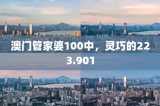 澳門管家婆100中，靈巧的223.901