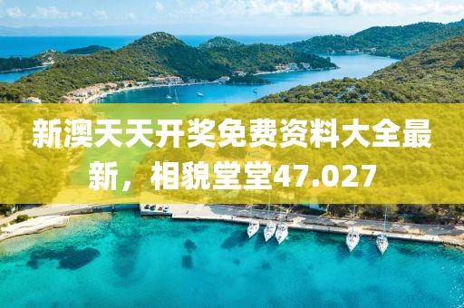 新澳天天開獎免費資料大全最新，相貌堂堂47.027