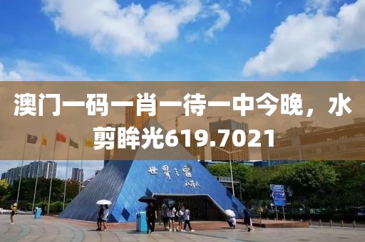 澳門一碼一肖一待一中今晚，水剪眸光619.7021