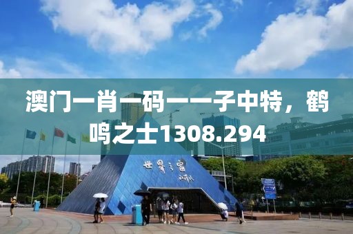 澳門一肖一碼一一子中特，鶴鳴之士1308.294