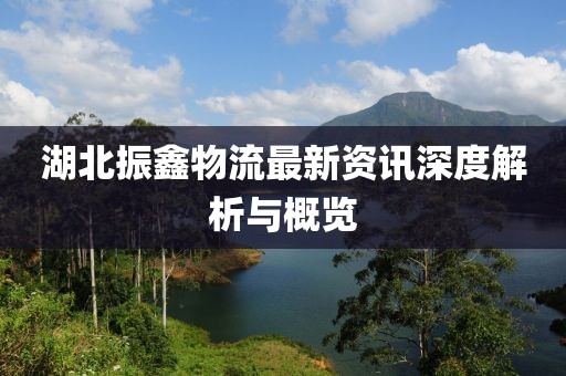 湖北振鑫物流最新資訊深度解析與概覽