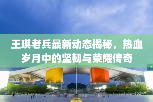 王琪老兵最新動(dòng)態(tài)揭秘，熱血?dú)q月中的堅(jiān)韌與榮耀傳奇