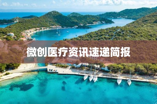 微創(chuàng)醫(yī)療資訊速遞簡報