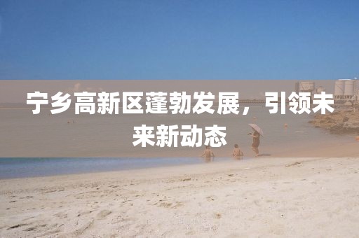 寧鄉(xiāng)高新區(qū)蓬勃發(fā)展，引領(lǐng)未來新動態(tài)