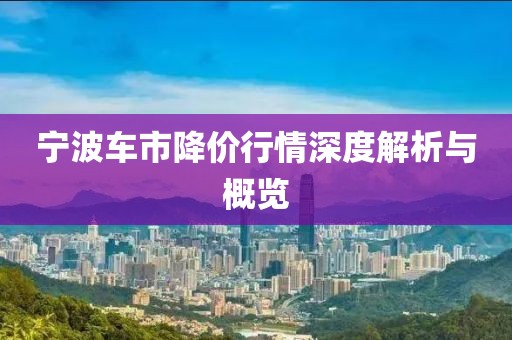 寧波車市降價(jià)行情深度解析與概覽