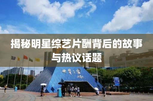 揭秘明星綜藝片酬背后的故事與熱議話題