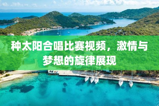 種太陽(yáng)合唱比賽視頻，激情與夢(mèng)想的旋律展現(xiàn)
