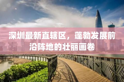 深圳最新直轄區(qū)，蓬勃發(fā)展前沿陣地的壯麗畫卷