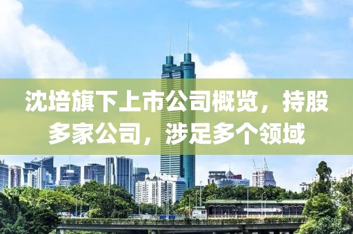 陞香洇染 第13頁