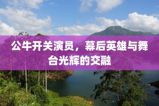 公牛開(kāi)關(guān)演員，幕后英雄與舞臺(tái)光輝的交融
