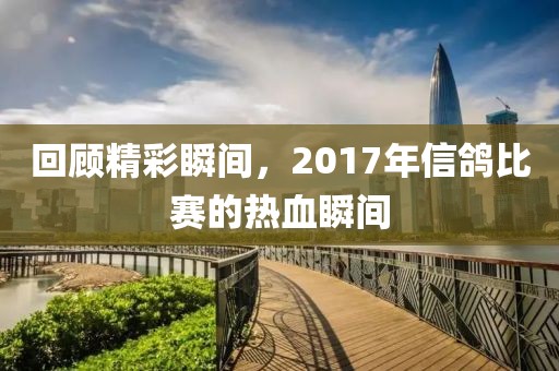 回顧精彩瞬間，2017年信鴿比賽的熱血瞬間