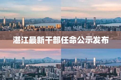 湛江最新干部任命公示發(fā)布
