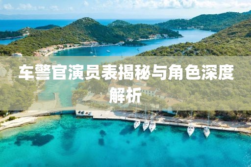 車警官演員表揭秘與角色深度解析