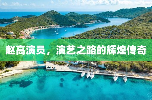 趙高演員，演藝之路的輝煌傳奇