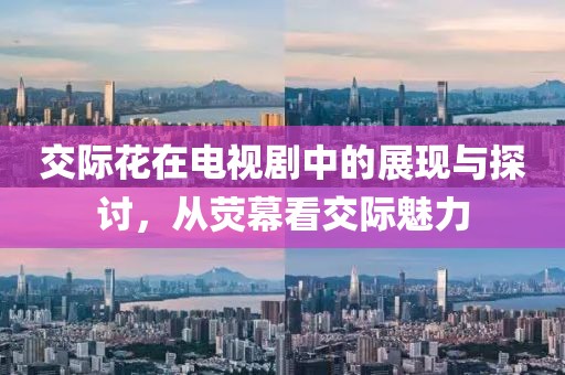 交際花在電視劇中的展現(xiàn)與探討，從熒幕看交際魅力