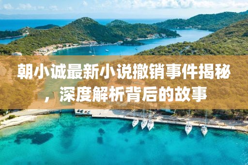 朝小誠最新小說撤銷事件揭秘，深度解析背后的故事